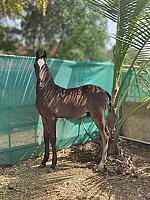 IMG_20220207_140338_Bokeh