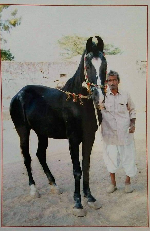 mare khazana dam of alishaan