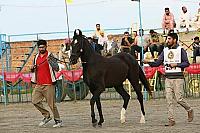 FB_IMG_1618879946268