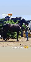 IMG_20220211_004258_548